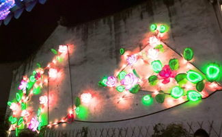 月色江南，醉美周莊 一簾燈影入夢來